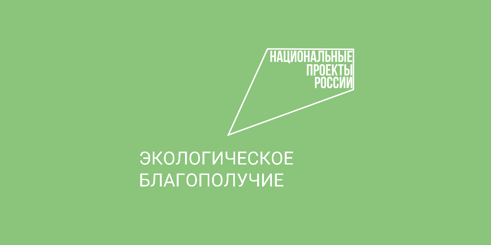 76 несанкционированных свалок ликвидированы в 2024 году на землях лесного фонда Вологодчины.