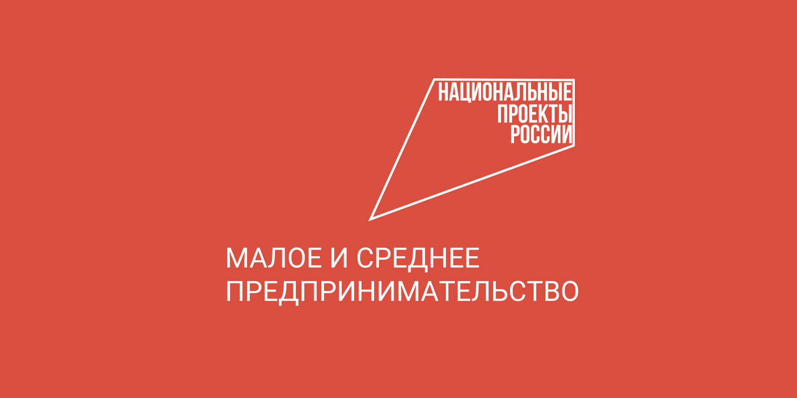 55 компаний области изготовили рекламные вывески благодаря нацпроекту.