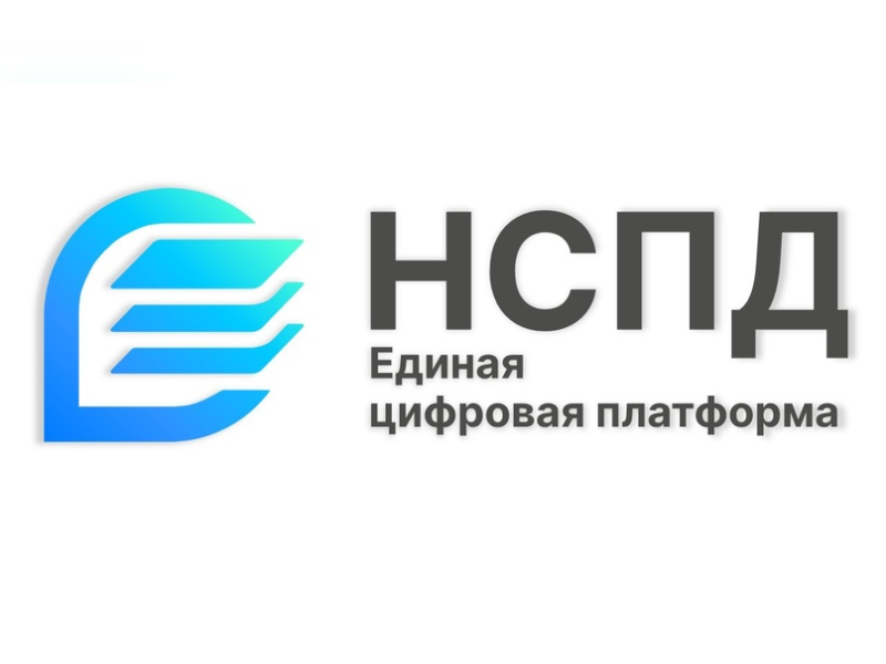 Публичная кадастровая карта перенесена на платформу НСПД.