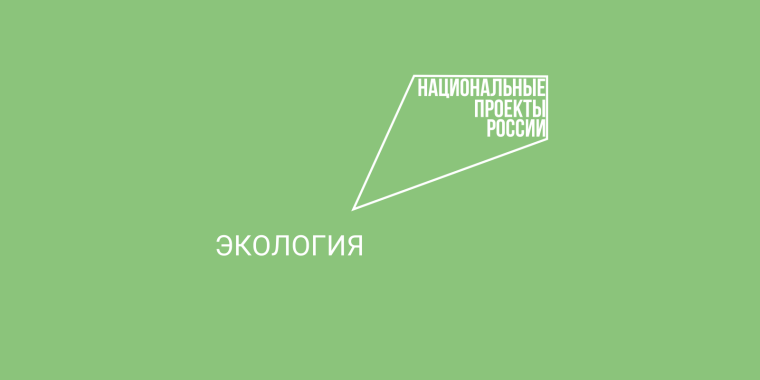 Лучших участников всероссийских экологических акций наградили в Вологде.