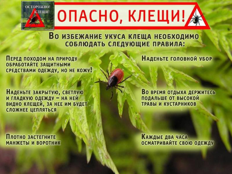 О соблюдении мер профилактики  клещевого вирусного энцефалита среди детей.