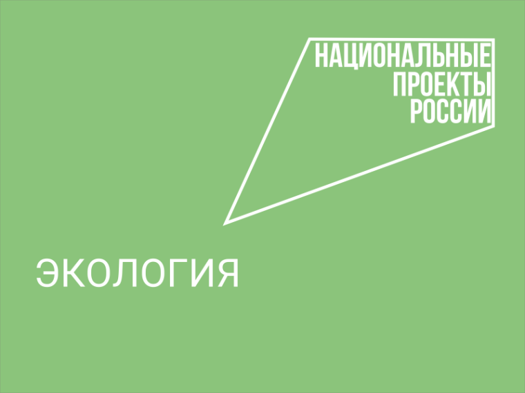 «Сад Памяти» региона увеличился на четыре тысячи деревьев. «Сад Памяти» региона увеличился на четыре тысячи деревьев.