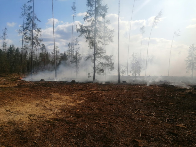 На Вологодчине зафиксирован и потушен  первый лесной пожар.