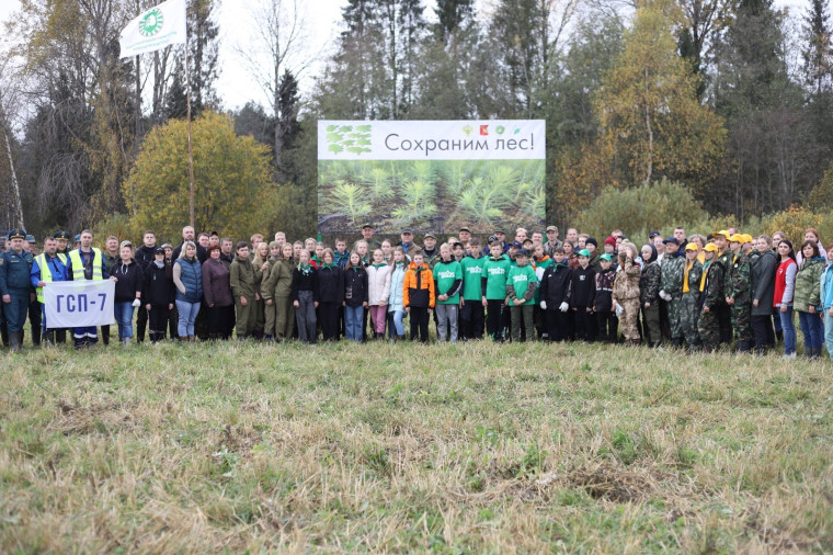 Более 6 тысяч сеянцев сосны высажено в Грязовецком округе.